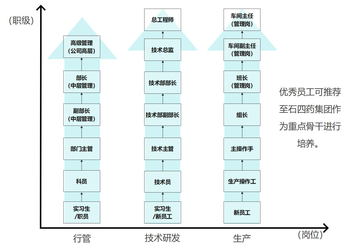 職業(yè)發(fā)展